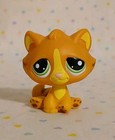 Hasbro Littlest Pet Shop Orange Yellow Tiger Kitten Cat Toy Figure  1834 Read