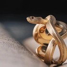Fashion Chinese Brass Handmade Snake Animal Style Men s Women s Wedding Ring