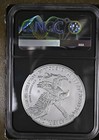2022 Bullion Silver Eagles Ngc Ms-70 W First Day Of Issue Burnished Silver Eagle