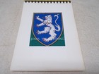 Rare Col  George L  Jones Usaf  jones-the Beggining  Family History Book
