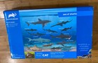 Animal Planet Sea Of Sharks Playset 2021 Discovery 14 Sharks 40394 - New Sealed