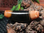 Energy Tibetan Old Agate Natural Silkworm Line Healer Horn Shape Dzi Bead Amulet