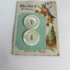 Vintage Bluebird Buttons Mother Of Pearl 2 Total On Card White 7 8 