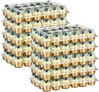 24 Pack X 10 Sets Count Cupcake Containers  Plastic Disposable Cupcake Boxes    