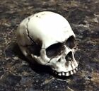 Made In Usa Skull Skeleton Head No Lower Jaw Punk Goth Motorcycle Hot Rat Rod 15