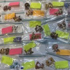 Littlest Pet Shop Dogs 29 Figure Lot