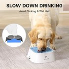 Pet Dog Bowl No Spill  Pet Water Bowl No Drip Slow Water Feeder For Cat And Dog
