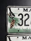 2019 Maine License Plate Set Pair 3249 Tv Chickadee Type