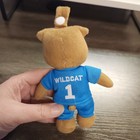 Kentucky Wildcats Gamezies Plush 6  Ncaa Basketball Uk  1 Mascot Pacifier Holder