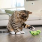 Crunchy Pickle Kicker Dental Catnip Cat Toy