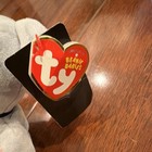 Ty Beanie Babies Dallas Cowboys Nfl Bear Plush W  Tag Gray 2022 Mpn 43261