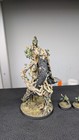 Lord Of The Rings - Middle Earth Sbg Painted Fangorn Army With Treebeard