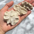8 Pieces Coral Rock Set Vintage Ocean Stone Saltwater Fish Tank Aquarium Decor