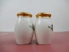 Vintage Hand-painted Floral And Gold Trim Ceramic Salt And Pepper Shaker Set