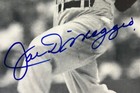 Signed Joe Dimaggio 8x10 B w Photo W coa