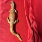 Vintage Taxidermy Full Body Real Juvenile Standing Alligator Crocodile 22  Long 