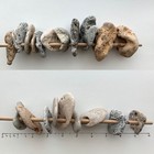 20 Holey Beach Rocks Adder Hag Stones Natural Large Hole Fairy Mystic Magic Q9      