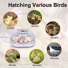 12 Digital Egg Incubator Automatic Egg Turning    water Adding For Hatching Egg Us