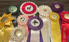 1970s Lot 10 Horse Show Ribbons Rosettes Crafts Lake Leelanau Petoskey Nw Mi