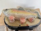 Rocky Rainbow Trout Singing Fish Motion Activated Sings   Moves Vintage 2000