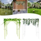 79  Grape Vine Support Arch Trellis Metal Garden Trellis For Climbing Plants