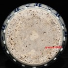 7 0  China Old Fashioned Yuan Dynasty Blue White Porcelain Fish Algae Pot Jar