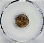 Hongkong 1900 Year 5cent 
