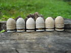 Old Rare Vintage Antique Civil War Relic Williams Cleaner Bullet Appomattox Va