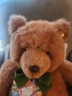 Brand New 1987 Gund  the Bear With No Name  Large Brown Plush Teddy Bear W    