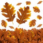 Rainflow 40pcs Artificial Fall Maple Leaves - Thanksgiving Dark Red Oak