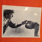 1982 Press Photos Steven Spielberg s  e t   The Extra-terrestrial  Lot Of 3