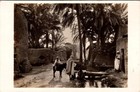 Morocco 1935 - Casablanca - Postcard - J16335