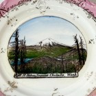 Chehalis Mt Helen Wa Washington Antique Souvenir Rare China Dish Plate 