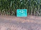 Vintage City Of Chicago S  To Chicago State University Bike Path Trail Sign