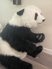 Xlarge Hansa Panda Bear