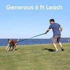 Recycled Dog Leash 6 Ft  Small Dog Leash And Large Dog Leash Reflective