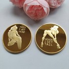 Tails I Get Head   heads I Get Tail  Sexy Lady Flip Coin Challenge Novelty Token