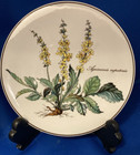 Villeroy   Boch Botanica Trivet  Euc