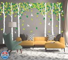 Giant Jungle Tree Wall Decals Birch Tree Wall Decals Birds Cute Squirrel Fore