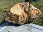 Large Heavy Piece Of Petrified Wood From East Texas