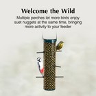 C s Wire Feeder  For Suet Nuggets  Peanuts  Or Sunflower  24 Ounces