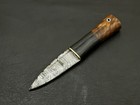8 Inches Celtic Scottish Dirk Sgian Dubh Dagger Bone Handle Knife 