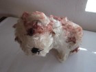 7  Steiff Mohair Dog Head Moves  Name  molly 