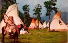 North American Indian In Colorful Ceremonial Dress Horse Vintage Postcard