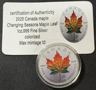 2025 1 Oz 9999 Silver Canada Maple Leaf Changing Seasons Colorized Coin Coa  10 