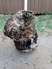  l Beautiful Red Birds Eye Manzanita Burl Wood