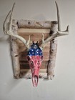 Rustic Deer European Skull Mount W  Skull Hook And Hanger