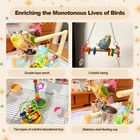 Mini Wood Bird Playground Birds Perch Stand Desktop Parrot Play Stand Parrot    