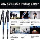 2x Trekking Poles Nordic Walking Sticks Adjustable Anti-shock Hiking Alpenstock 