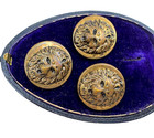 Lot Of 7 Antique Lion Face Victorian Buttons W Shank Brass Gold Tone Metal Round